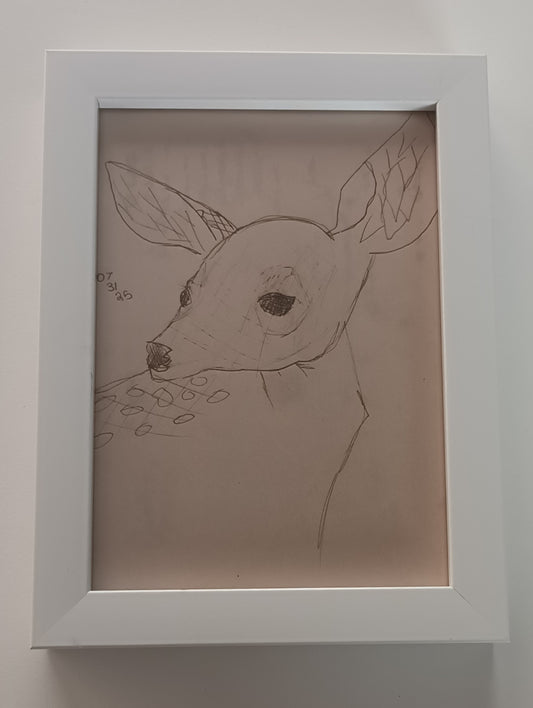 Roe Deer
