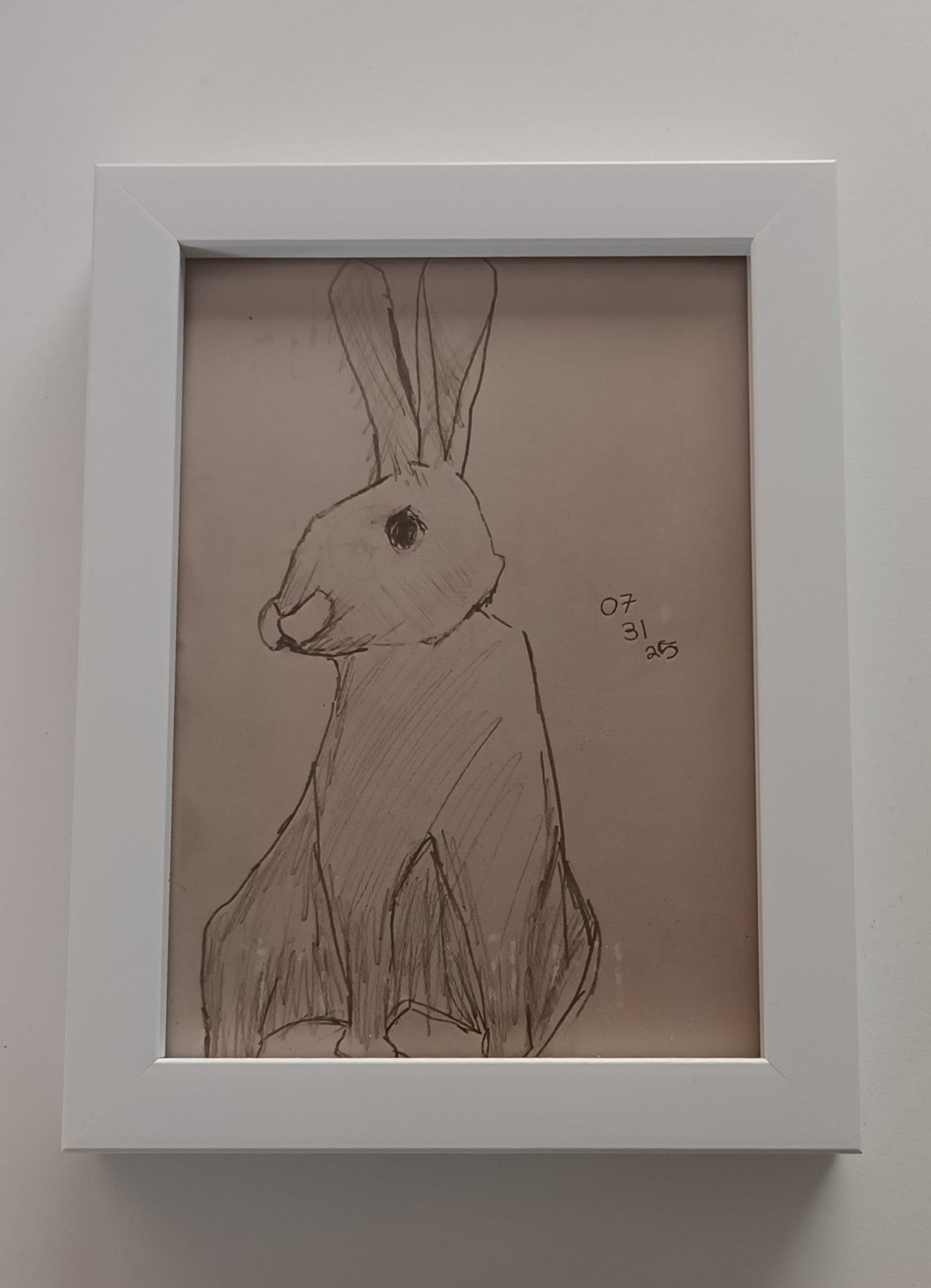 Rabbit