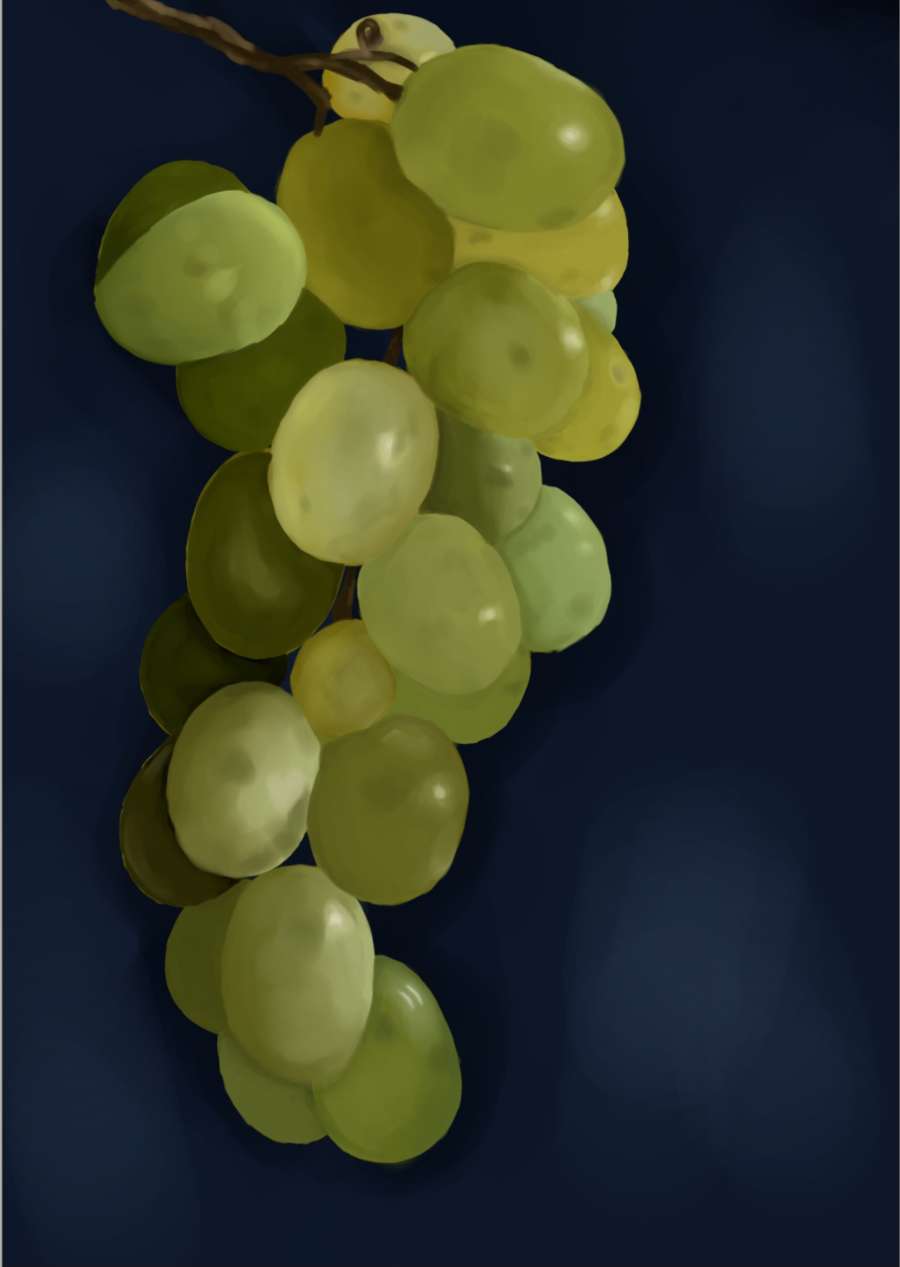Grapes