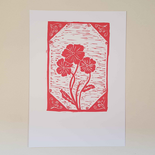 Poppy Flowers